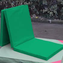 Use mattress with poop multifunction coconut palm beds Care bed brown cushion Medical mattresses