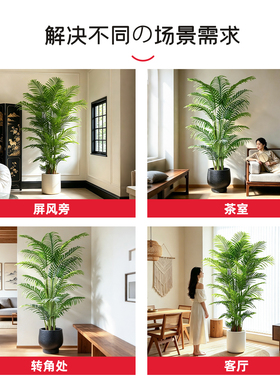仿真绿植高端轻奢散尾葵法