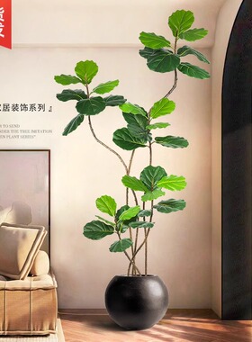 仿真植物琴叶榕落地盆栽