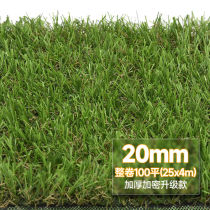 CCGrass Co-Created Lawn Football 100 Ping 4 * 25m Whole Rolls Large Area Municipal Courtyard Emulation Green Fake Turf