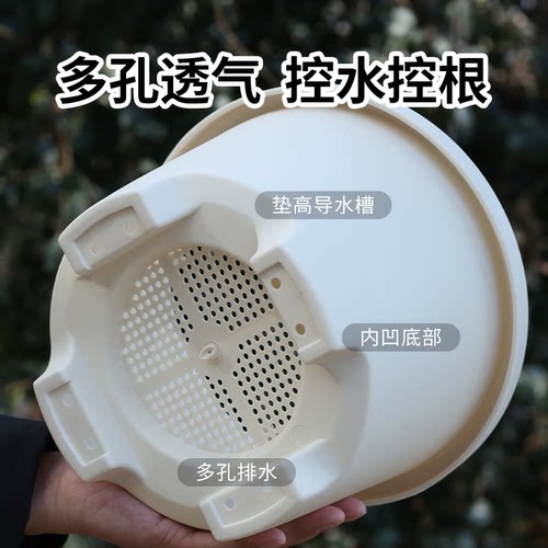 牧狼人塑料花盆朱顶红铃兰花矮牵牛天竺葵球根草花盆栽专用种植盆 - 图0