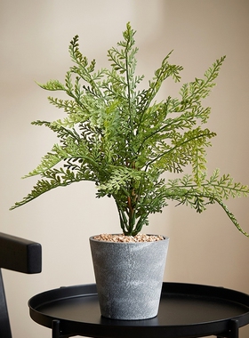 仿真绿植盆栽室内桌面摆件