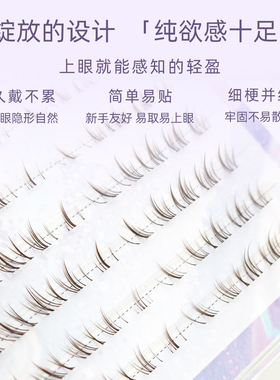 娇之黛兰棕猫须假睫毛女自然仿真单簇分段式懒人三部曲