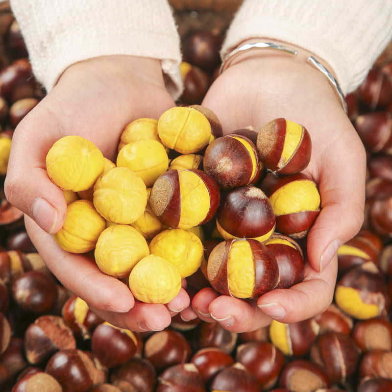 【开好口的锥栗】板栗生新鲜2025年高山建瓯锥栗油尖栗现摘毛栗子,淘宝优惠券,粉丝福利购,淘宝优惠卷