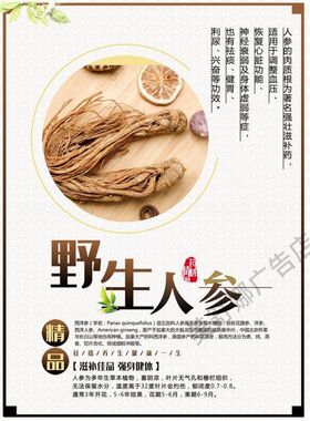 野山参广告海报贴纸人参中药材的营养价值装饰画滋补品药店墙挂图