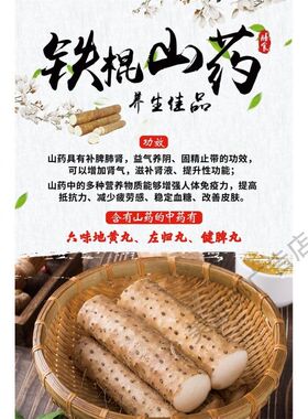 山药海报展板滋养精品珍贵铁棍山药补脾养胃墙贴纸KT板