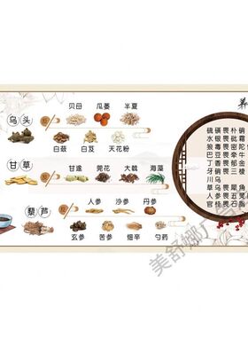 中医文化海报十八反十九畏挂图中药配伍禁忌宣传画医院药房贴纸