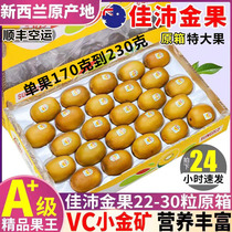 Shun Feng Airlift New Zealands Jiapai Gold Fruit Zespri Exotic Fruit High-end Fruits Imported Yellow Heart Macaque Great Fruits