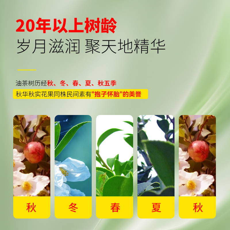 绿品安有机山茶油500ml山茶籽油食用油一级压榨油野茶油端午送礼