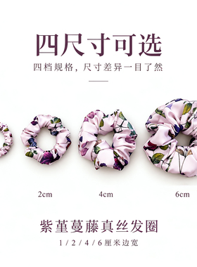 真丝22姆米桑蚕丝大肠发圈高级感