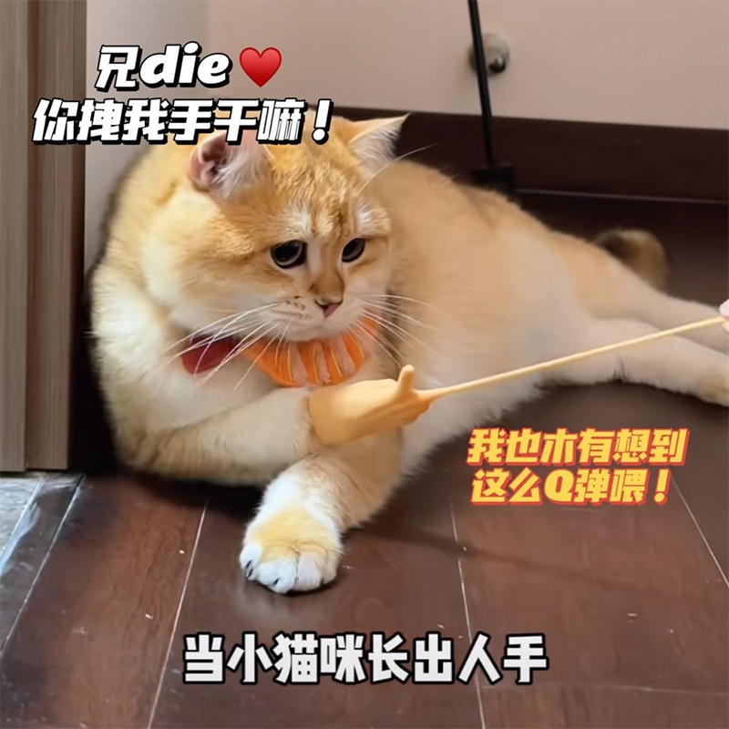 猫咪手套迷你搞笑人手小手指高弹力逗猫玩具剪刀比耶撸猫爪子指套 - 图2