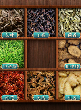 南京同仁堂艾灸宝 艾绒热敷肩颈无烟电加热艾灸香身艾宝