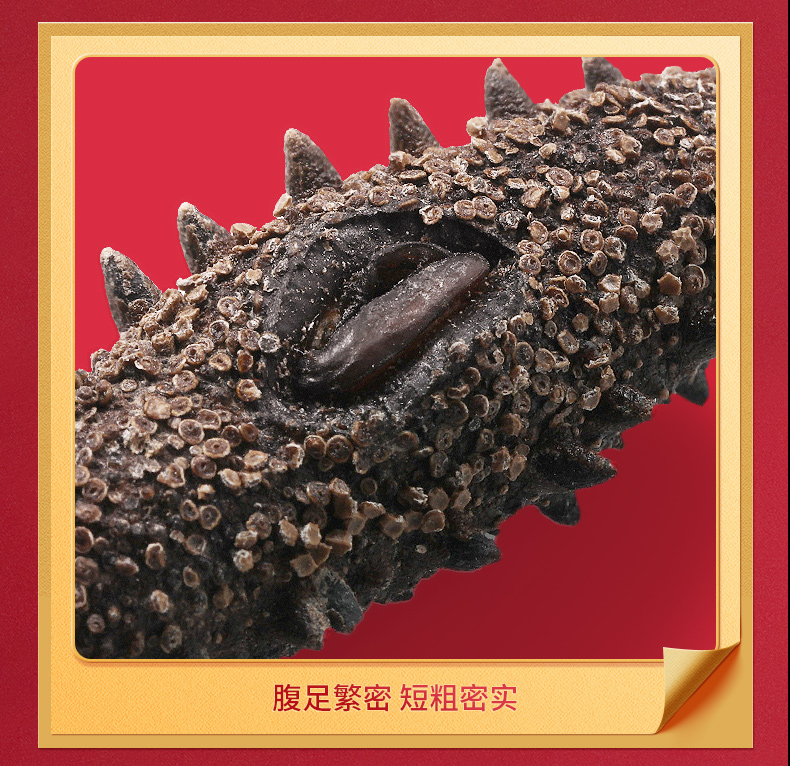 久年养福堂专卖店久年 大连海参干货高档年货礼盒100g 送长辈老人亲戚礼品过年礼物3