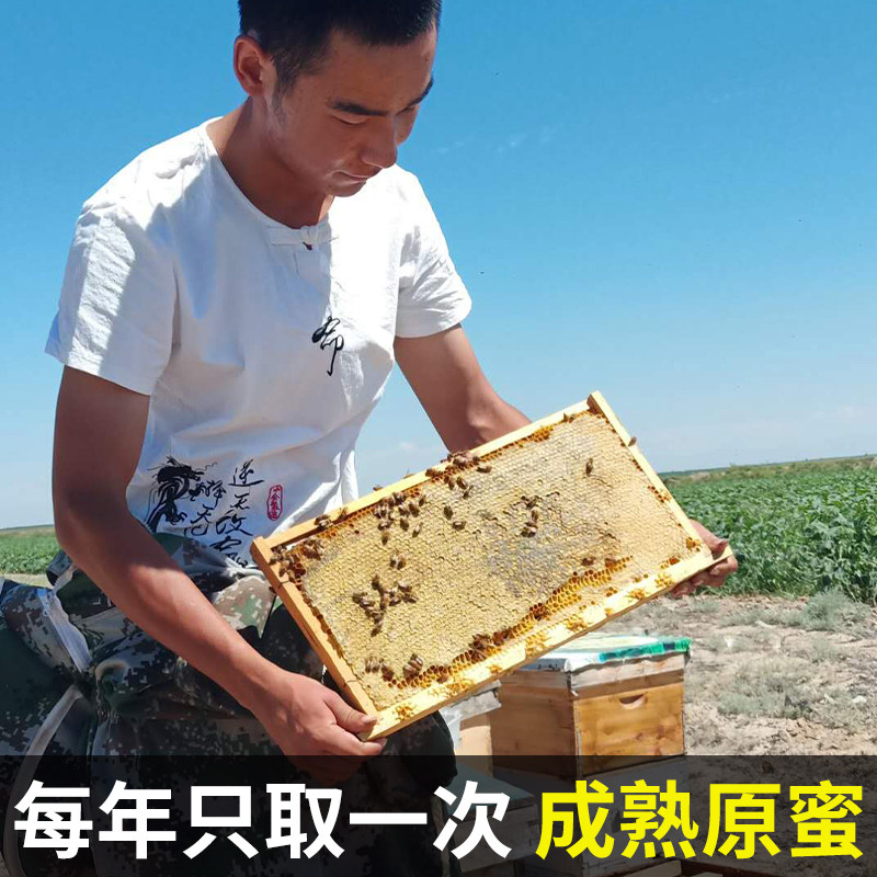 新疆蜂蜜纯正农家自产沙棘花金沙蜜无添加结晶蜜深山土蜂蜜纯蜂蜜