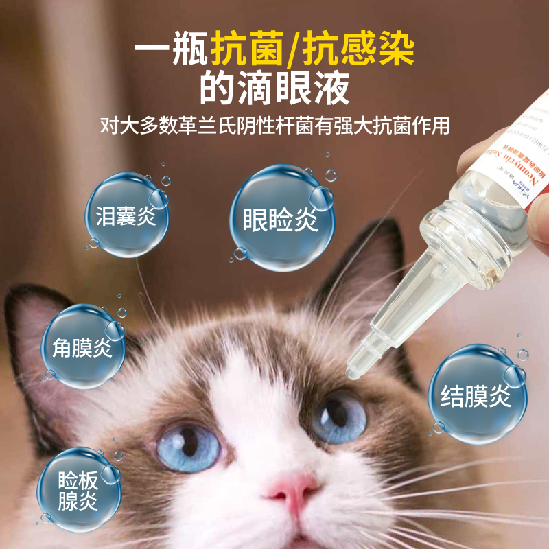 倍贝宠猫咪眼药水泪痕液宠物狗狗滴眼液比熊专用消炎去泪痕神器 - 图0