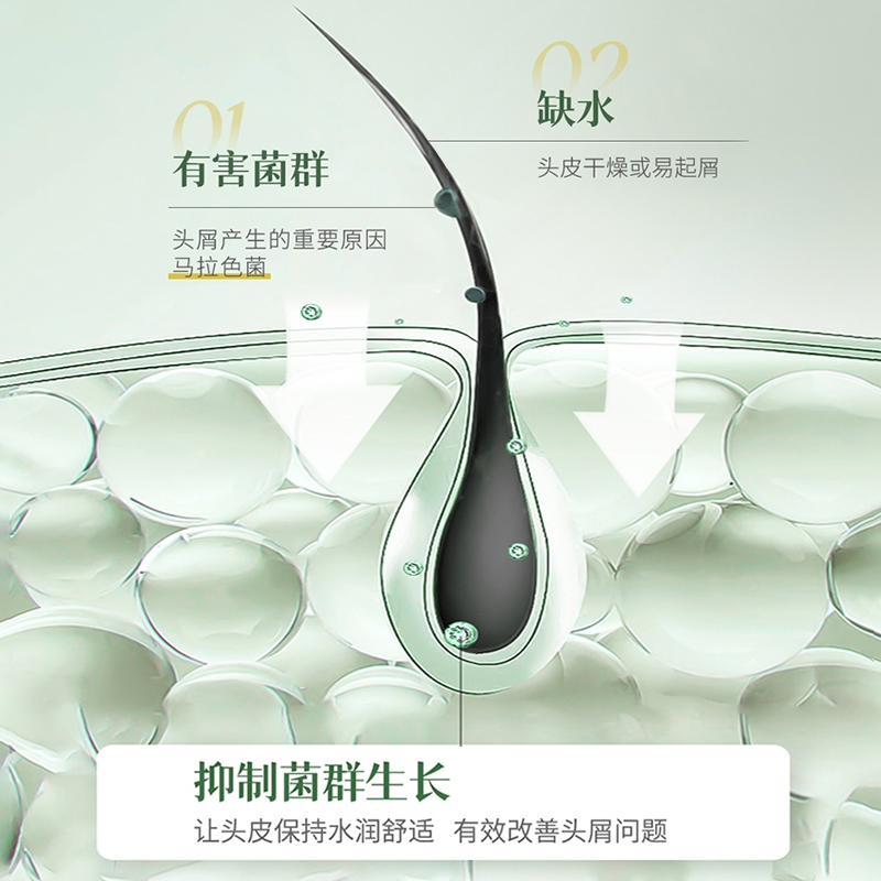 菲诗蔻植物去屑洗发水补水保湿温和不刺激持久留香洗头水膏旗舰店