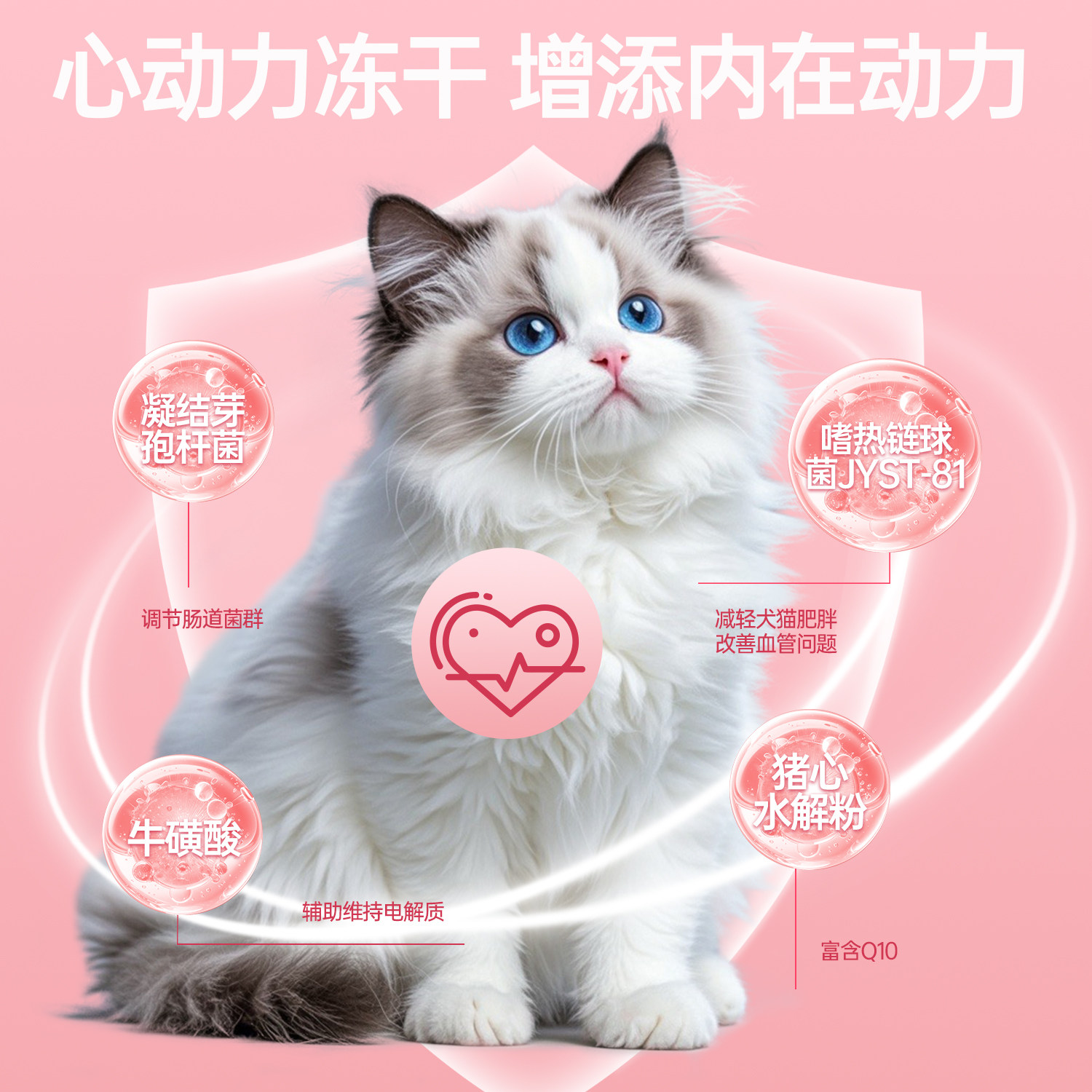 MollyBox辅酶Q10猫咪狗狗专用保护心脏冻干零食养护心肌肥大调理,淘宝优惠券,粉丝福利购,淘宝优惠卷