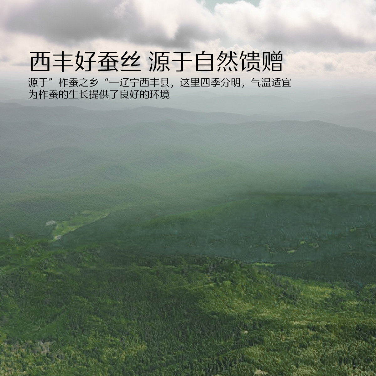 水星家纺被子100%蚕丝被夏凉被空调被春秋被冬被子母二合一被芯,淘宝优惠券,粉丝福利购,淘宝优惠卷