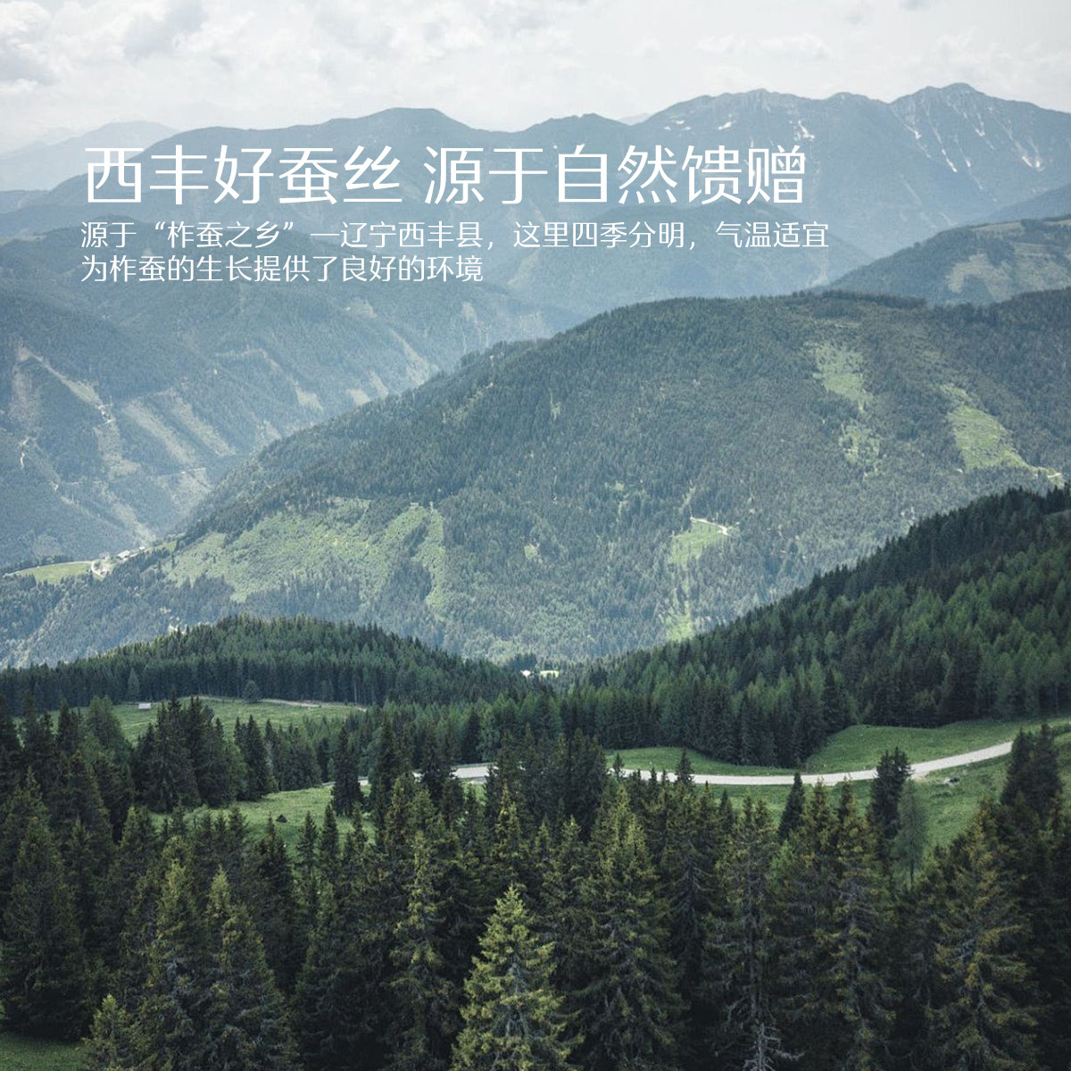 水星家纺100%蚕丝被A类抗菌冬被春秋被单人双人四季被子母被新品,淘宝优惠券,粉丝福利购,淘宝优惠卷