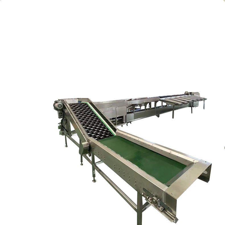 猕猴桃分选流水线 火龙果橙子苹果一机多用 全自动水果智能分选机,淘宝优惠券,粉丝福利购,淘宝优惠卷