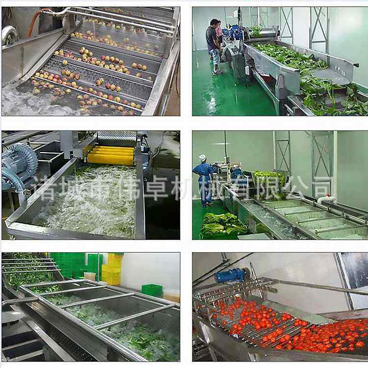 供应西蓝花生菜喷淋清洗机 小油菜净菜加工设备 蓝莓气泡清洗机,淘宝优惠券,粉丝福利购,淘宝优惠卷