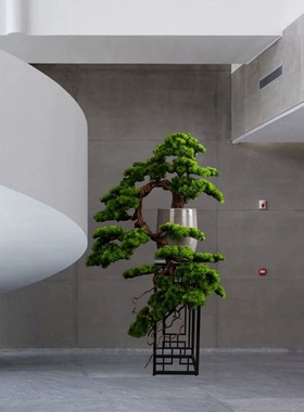 新中式仿真松树大型落地植物摆件客厅玄关假树装饰绿植罗汉松盆景