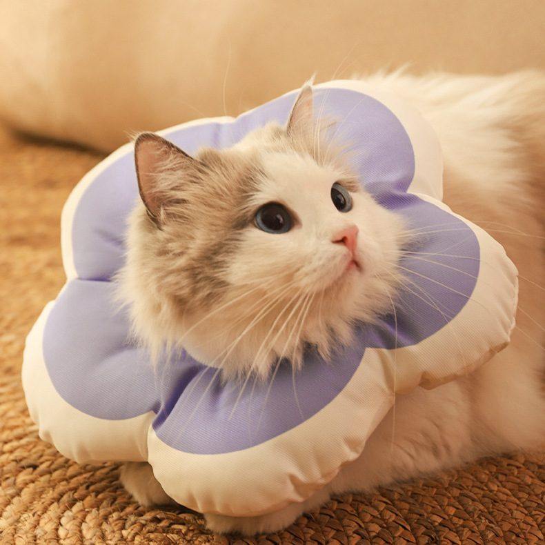 猫咪项圈伊丽莎白软圈狗狗头套舔防宠物脖绝育批发羞耻圈用品颈圈,淘宝优惠券,粉丝福利购,淘宝优惠卷