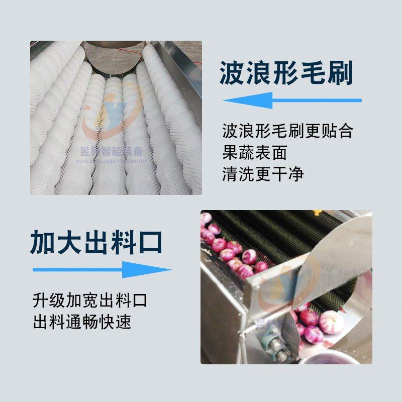 商用芦苇叶毛辊清洗机 牡蛎海鲜去泥沙清洗机 土豆毛辊去皮清洗机,淘宝优惠券,粉丝福利购,淘宝优惠卷
