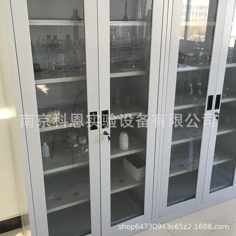 全钢双门器皿柜 带孔全钢药品柜 pp药品柜 化学药品柜 通风药品柜,淘宝优惠券,粉丝福利购,淘宝优惠卷
