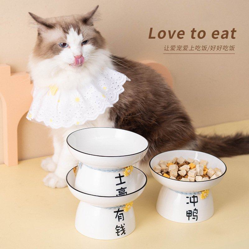 新品 陶瓷猫碗狗碗宠物碗创意文字斜口高脚保护颈椎拒黑下巴猫咪,淘宝优惠券,粉丝福利购,淘宝优惠卷