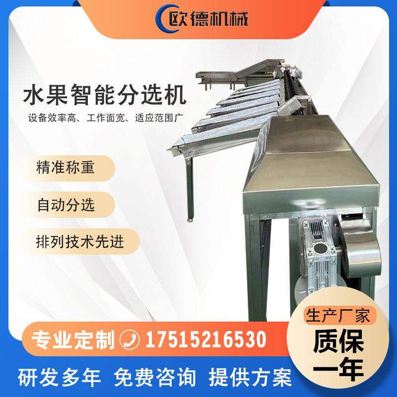 猕猴桃分选流水线 火龙果橙子苹果一机多用 全自动水果智能分选机,淘宝优惠券,粉丝福利购,淘宝优惠卷