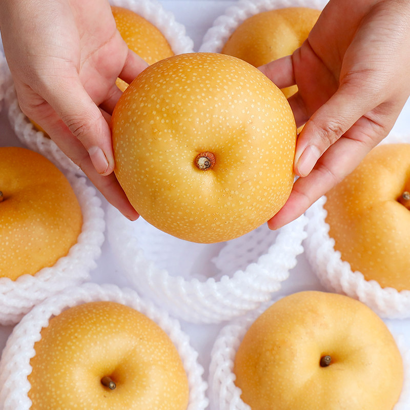 秋月梨子新鲜水果当季整箱正宗现摘莱阳黄花梨应季现摘礼盒装10斤