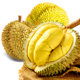 Thai Golden Pillow Durian fresh fruit seasonal whole box small durian 3-10Jin Jin is equal to 0.5kg one whole SF Express