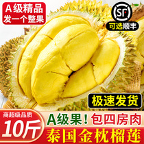 Thai gold pillow durian fresh fruit 10 catties for the season imported whole fruit bab durian meat one whole Shunfeng