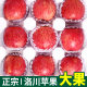 Authentic fresh-picked Luochuan apples! Crisp, sweet and juicy