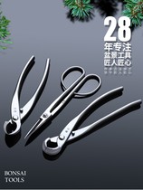 Japanese bonsai Japanese style ball festival cutting and trimming styling special tool to make spherical scissor spherical pincer bud