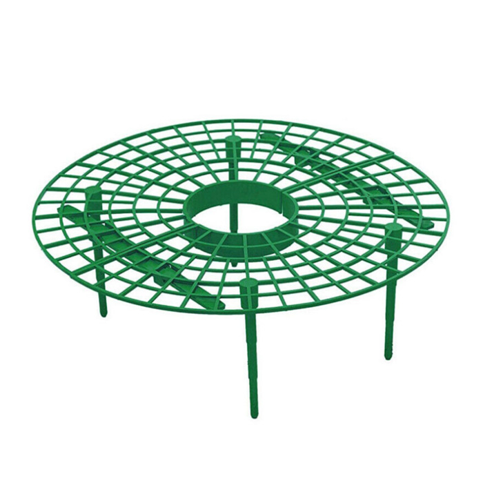 家庭种植草莓托盘架绿植防倒伏植物果实支撑园艺用品草莓支撑架子 - 图3