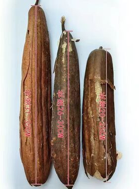 纯手工丝瓜络高效洗碗健康家居生活晒干的丝瓜老偏方老丝瓜瓤带皮