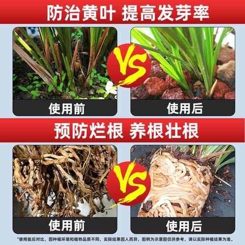 兰灵王兰花肥料专用肥多箭素蝴蝶兰微生物药君子兰陵王营养液 - 图2