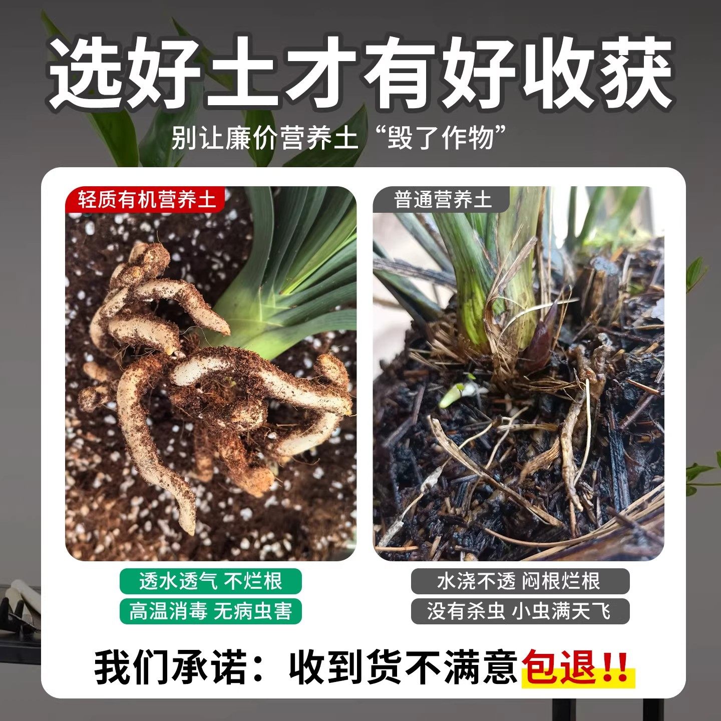 通用型营养土养花种菜通家用阳台盆栽植物专用土泥炭有机种植土壤,淘宝优惠券,粉丝福利购,淘宝优惠卷