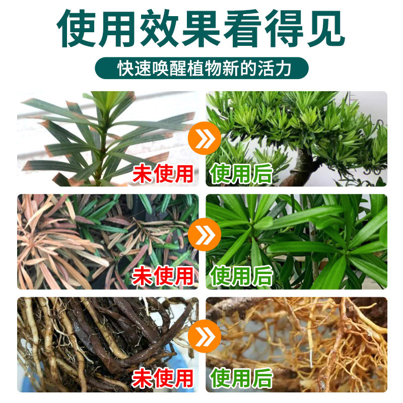 罗汉松专用肥营养液有机肥料免稀释室内盆栽植物通用型家用盆栽景,淘宝优惠券,粉丝福利购,淘宝优惠卷