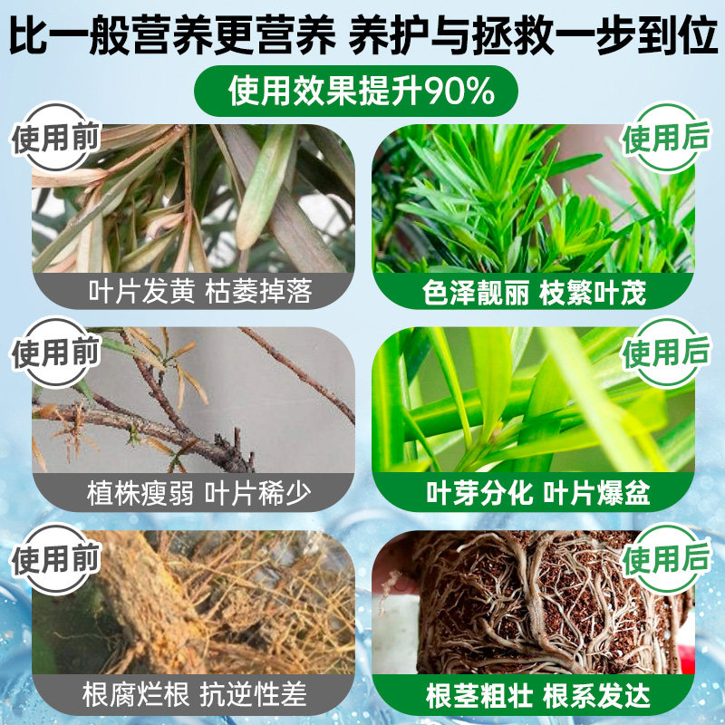 德国罗汉松专用肥营养液有机肥料花叶枯病黄叶盆景养护面肥迎客松,淘宝优惠券,粉丝福利购,淘宝优惠卷