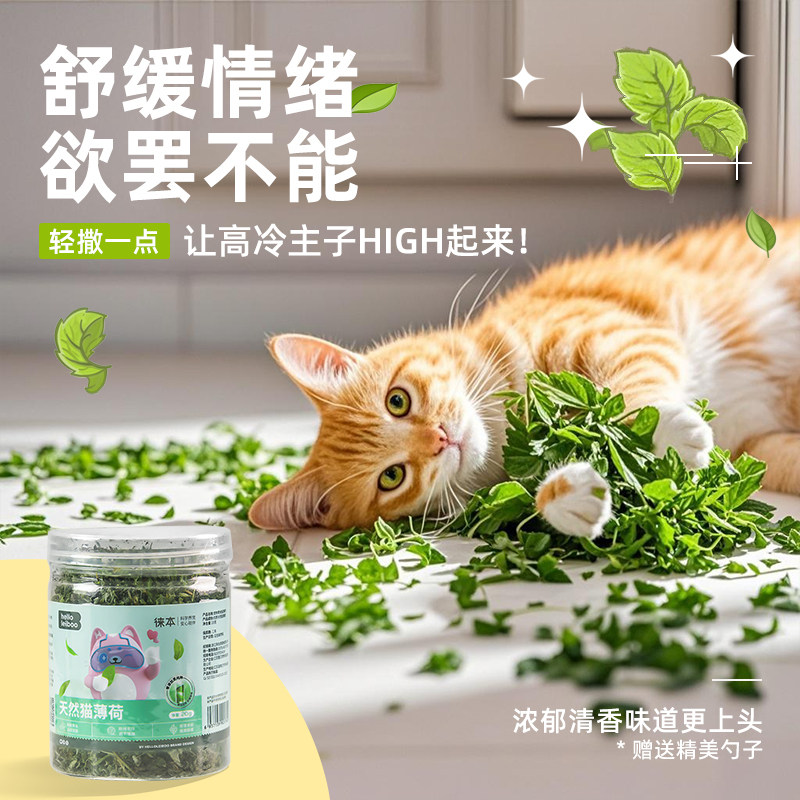 日本猫薄荷粉末天然可食用高纯度猫草去化毛球猫咪零食喝水猫酒,淘宝优惠券,粉丝福利购,淘宝优惠卷