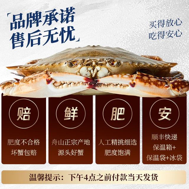 Newly caught swimming crabs