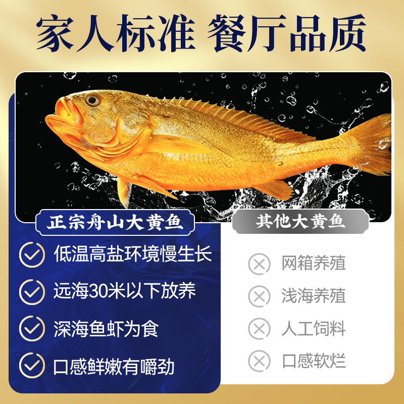 舟山大黄鱼礼盒装深海小黄花鱼鲜活冷冻生鲜海鲜海鱼新鲜水产商用