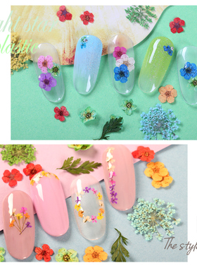 2022新款网红干花饰品小花朵天然真花指甲油贴花漫天星美甲店专用