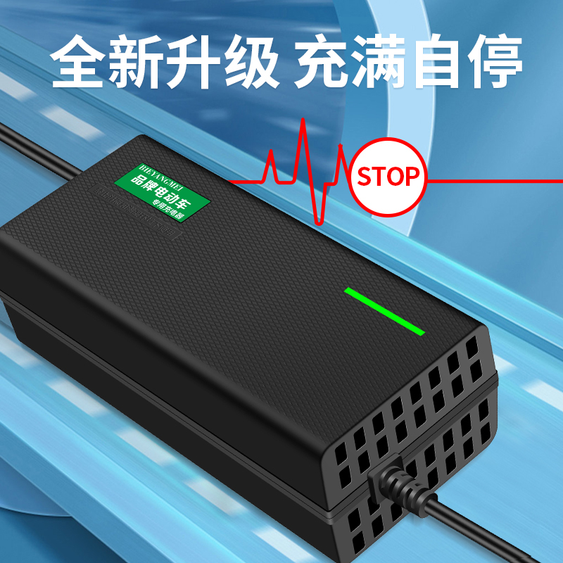 适用哈啰棒途志讯电动车48V12AH20AH60V20AH72V20A断电专用充电器