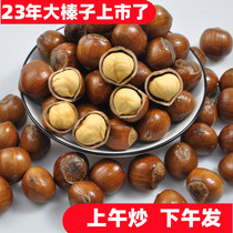 2023 Northeast China Teater Large hazelnut Liaoning Tieling special production raw flavor fried and cooked thin leather big hazelnut American great hazelnut