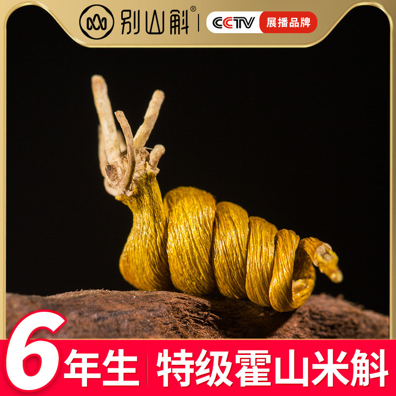 正品霍山米斛龙头凤尾铁皮鲜条枫斗 别山斛石斛/枫斗