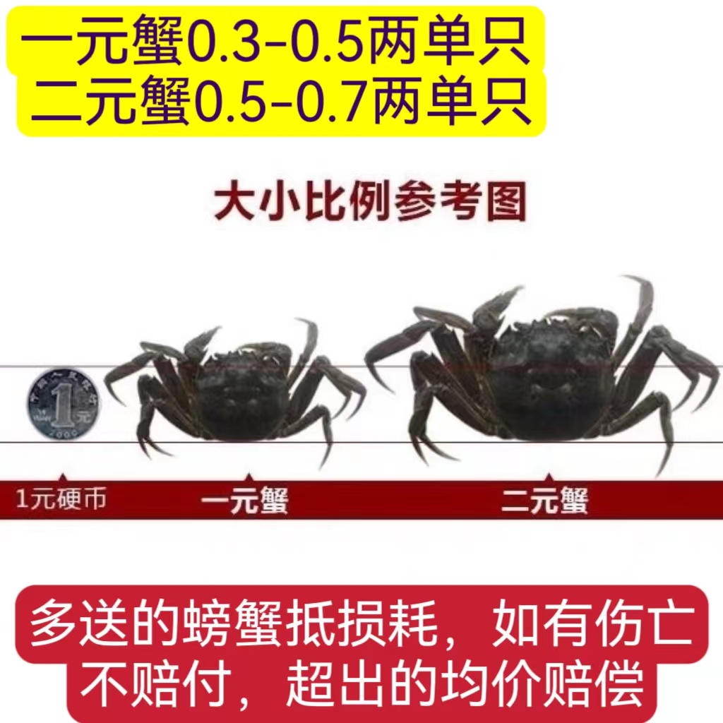 活蟹70只送10只鲜活1一元蟹河蟹小螃蟹闸蟹六月黄香辣蟹公母包邮 - 图2